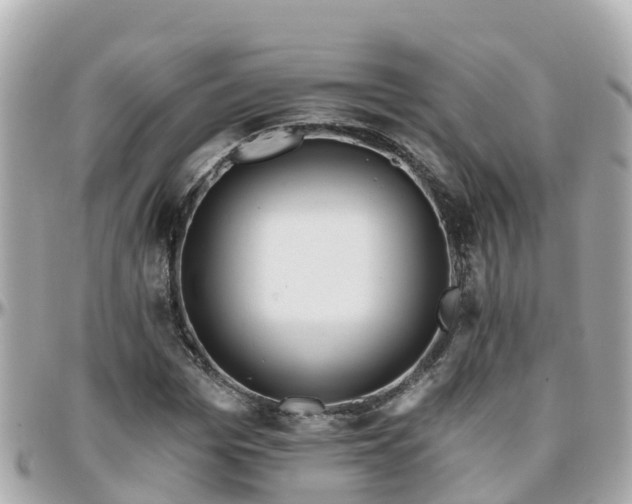 X0000096210969200801251031