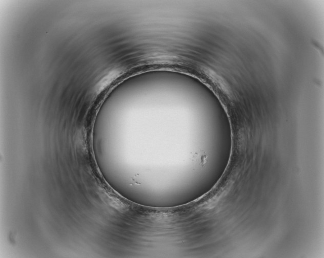 X0000096210970200801251031