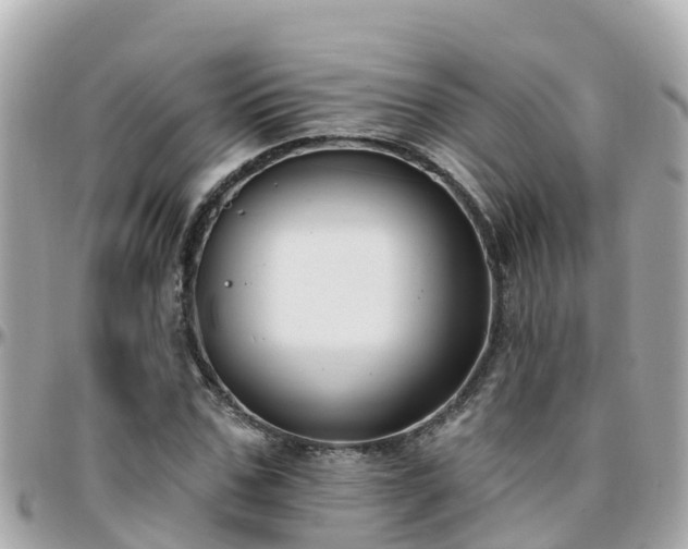 X0000096210971200801251031