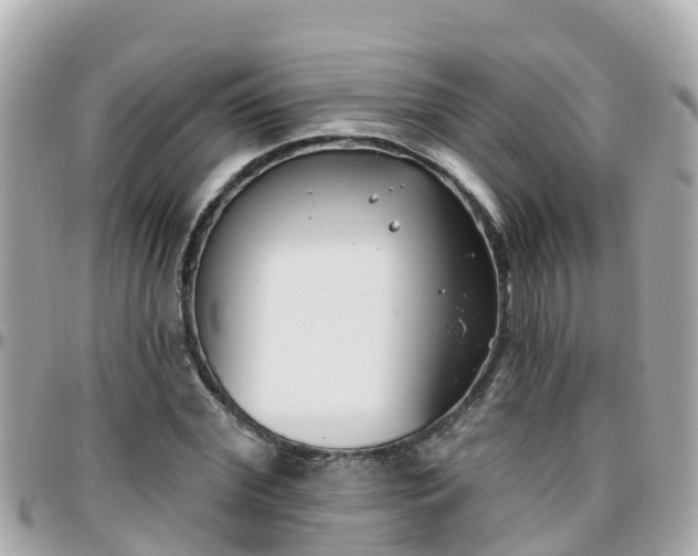 X0000096210972200801251031