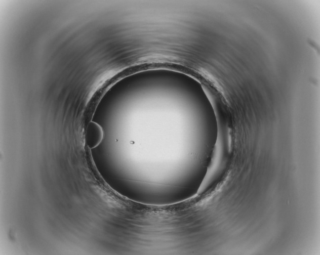 X0000096210973200801251031