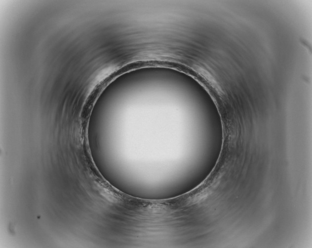 X0000096210974200801251031