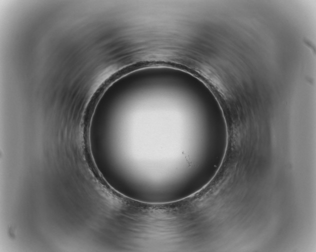 X0000096210976200801251031