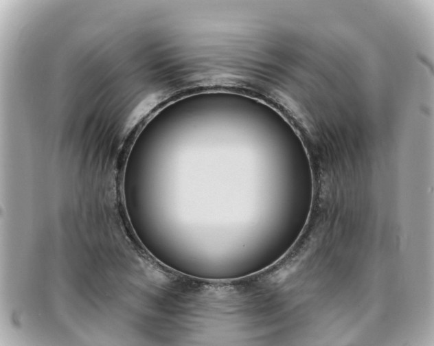 X0000096210978200801251031