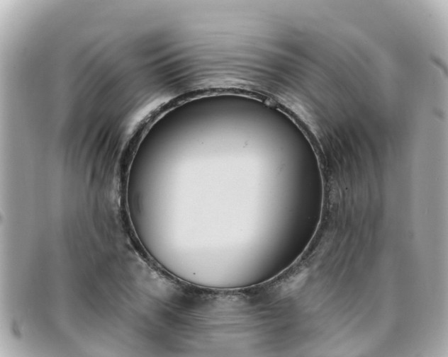 X0000096210979200801251031