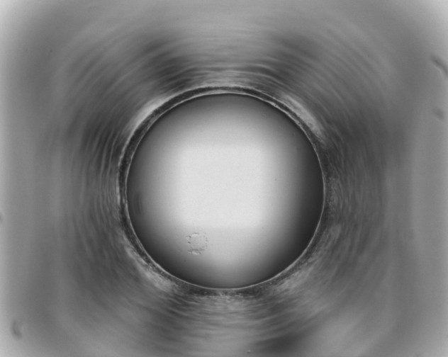 X0000096210980200801251031