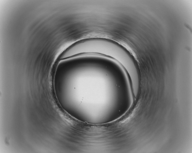 X0000096210981200801251031