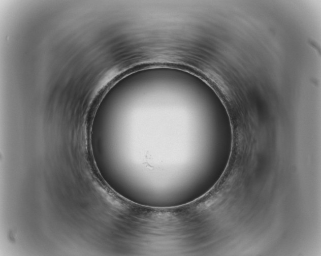 X0000096210982200801251031