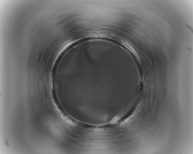 X0000096210984200801251031