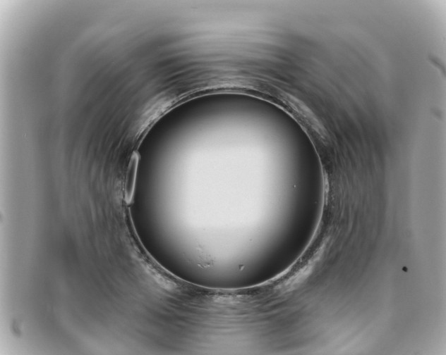 X0000096210985200801251031