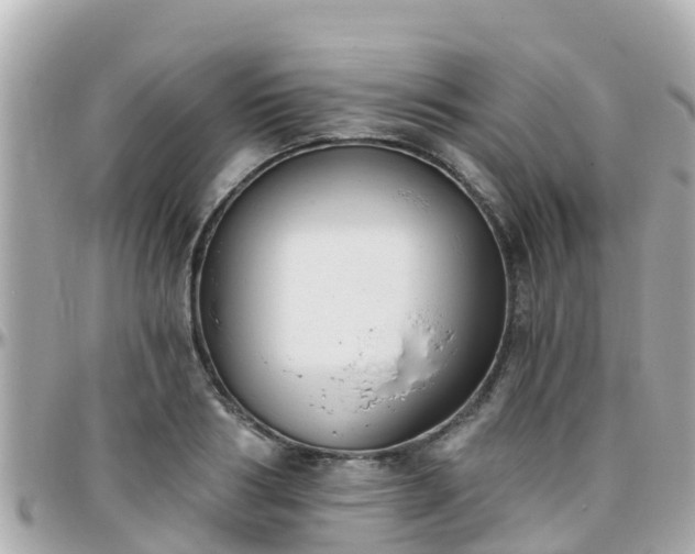 X0000096210986200801251031