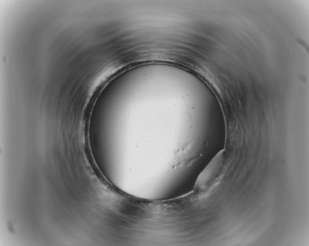 X0000096210987200801251031