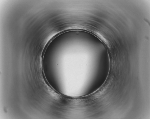 X0000096210988200801251031