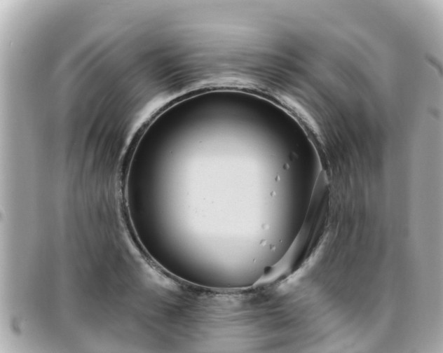 X0000096210989200801251031