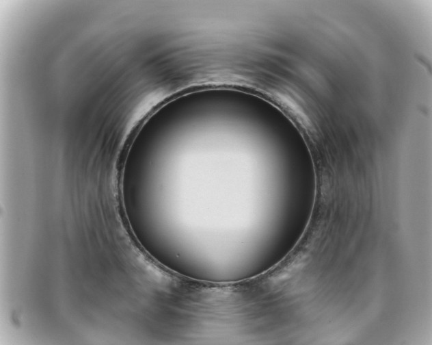 X0000096210990200801251031