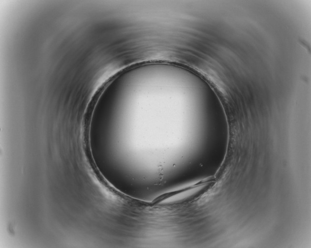 X0000096210991200801251031