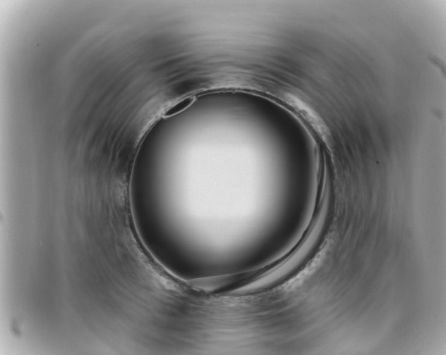 X0000096210993200801251031