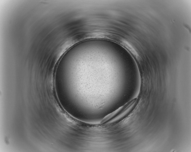 X0000096210994200801251031