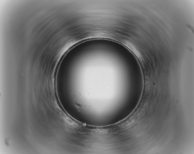 X0000096210996200801251031