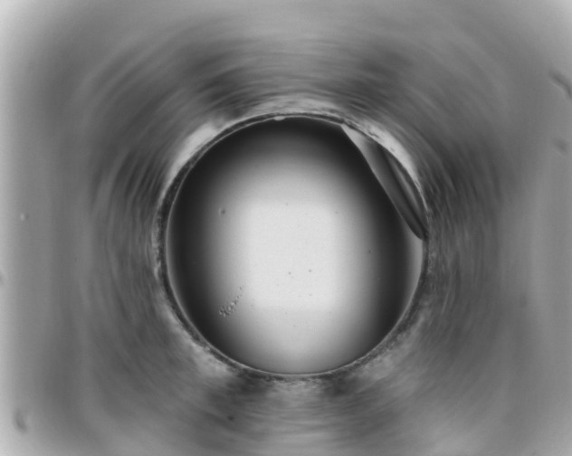 X0000096210997200801251031