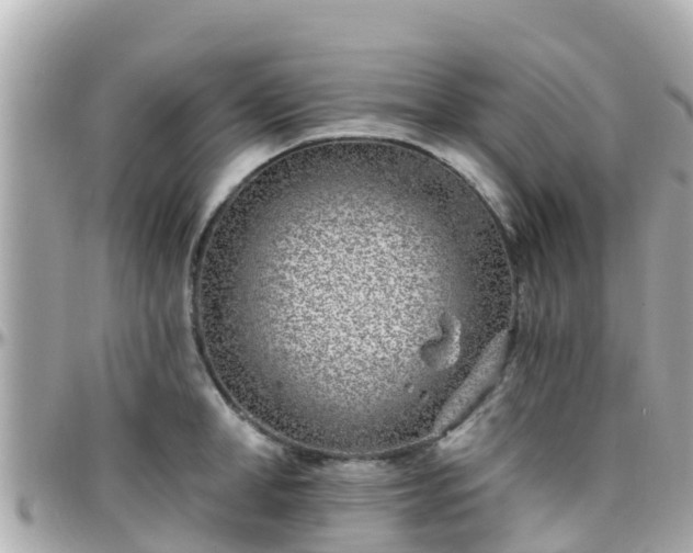 X0000096210998200801251031