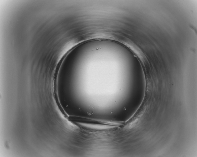 X0000096210999200801251031