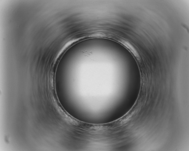 X0000096211000200801251030