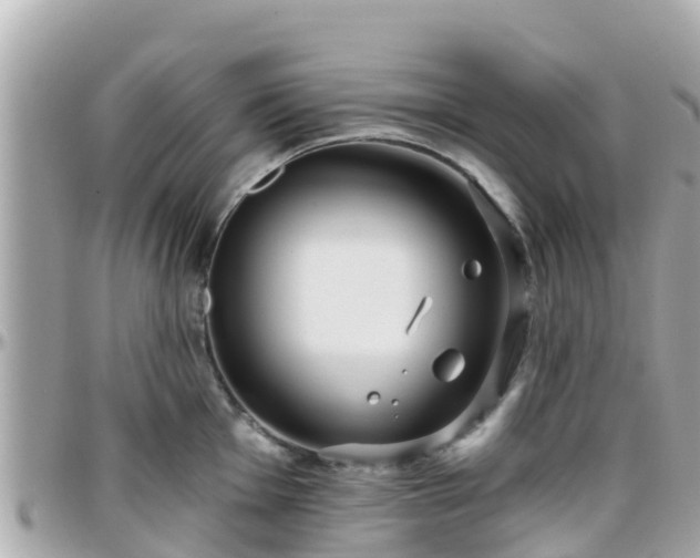 X0000096211001200801251030