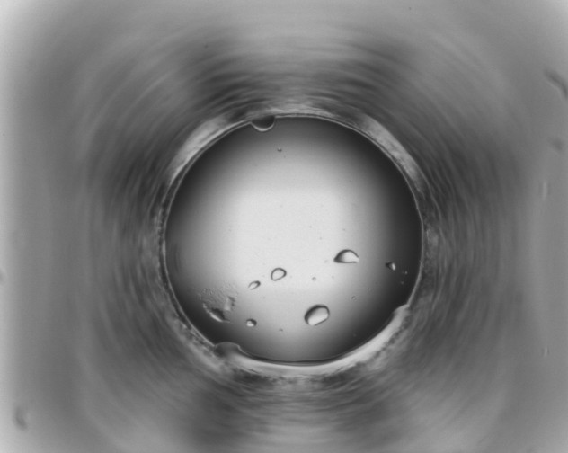 X0000096211002200801251030