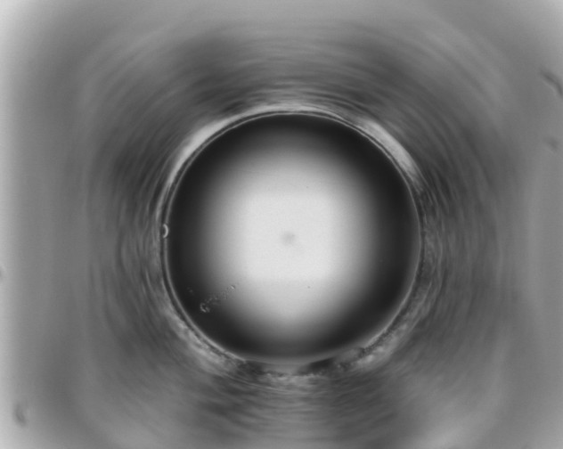 X0000096211004200801251030