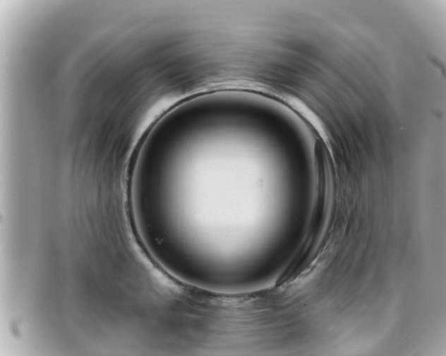 X0000096211005200801251030