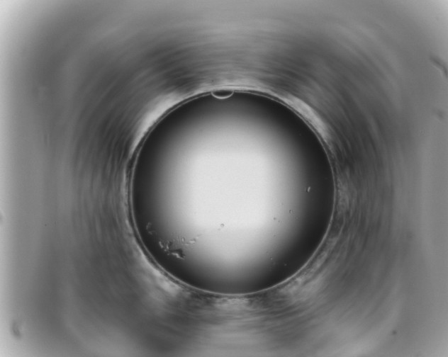 X0000096211006200801251030