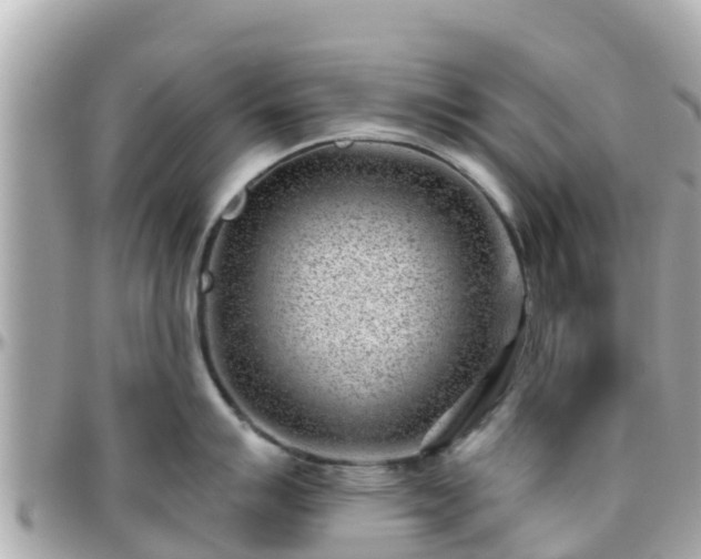 X0000096211007200801251030