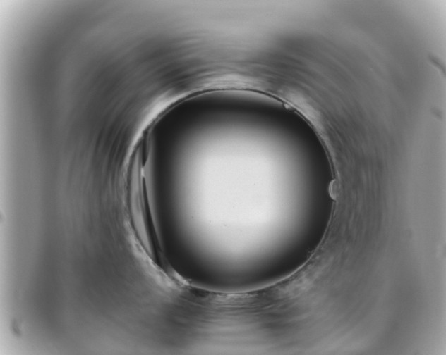 X0000096211008200801251030