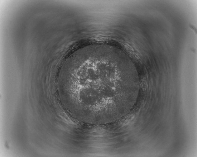 X0000096211009200801251030