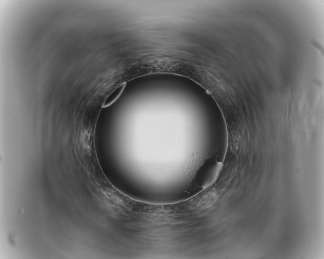 X0000096211010200801251030