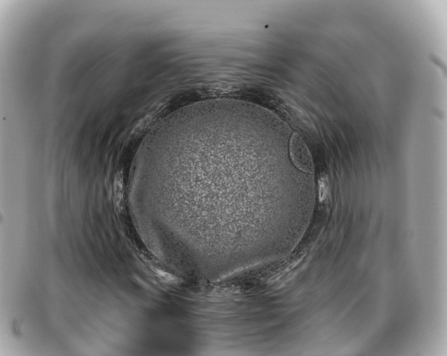 X0000096211011200801251030