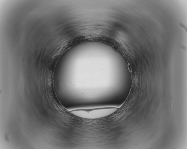 X0000096211012200801251030