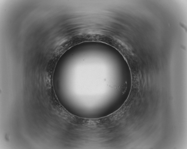 X0000096211013200801251030