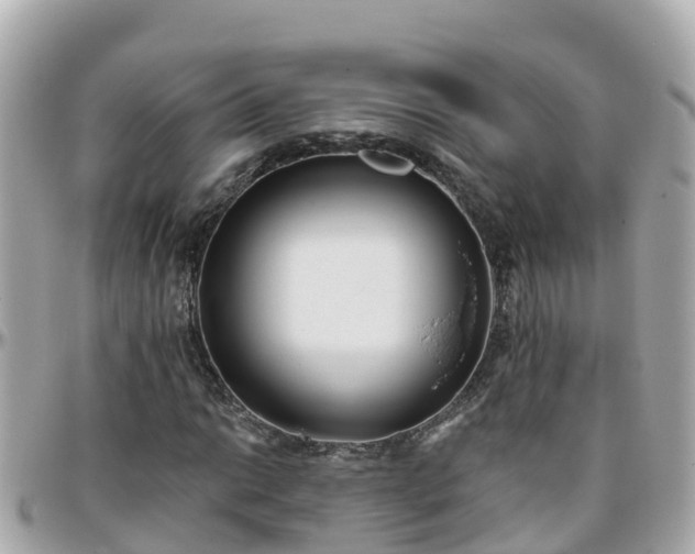 X0000096211014200801251030