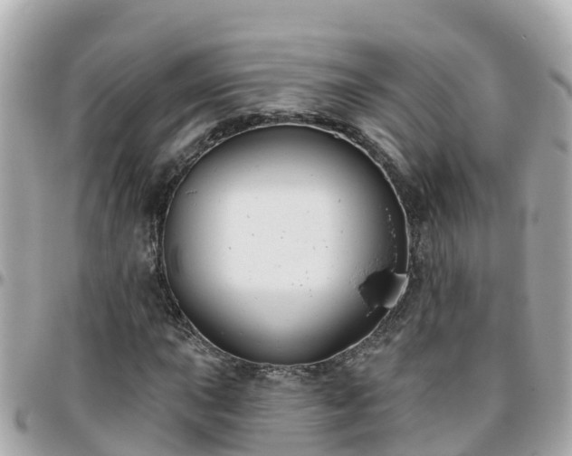 X0000096211015200801251030