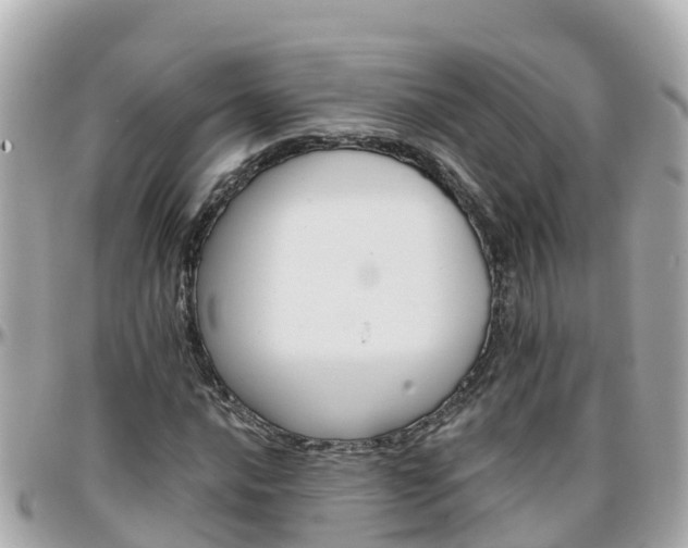 X0000096211016200801251030