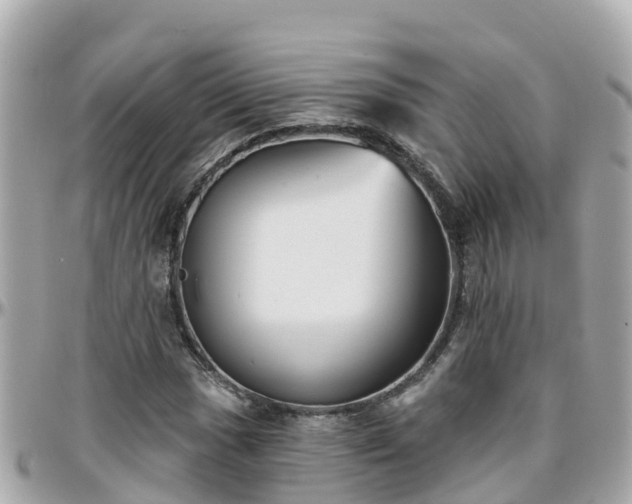 X0000096211017200801251030