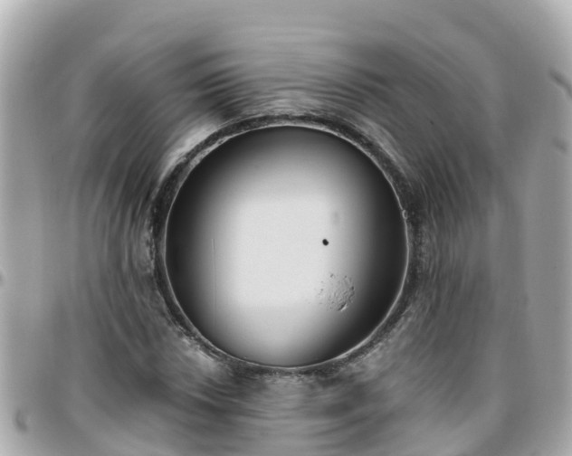 X0000096211018200801251030