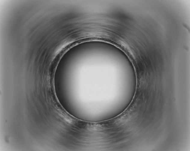 X0000096211019200801251030