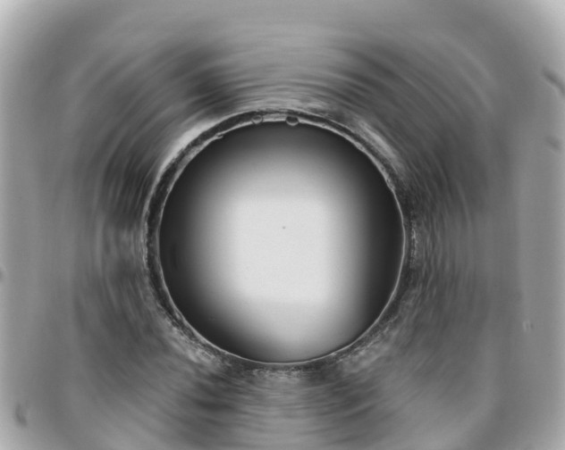 X0000096211020200801251030