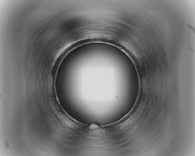 X0000096211021200801251030