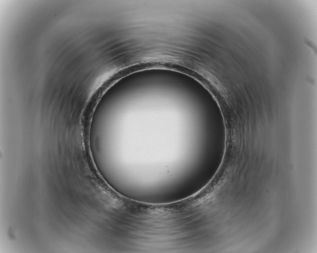 X0000096211022200801251030