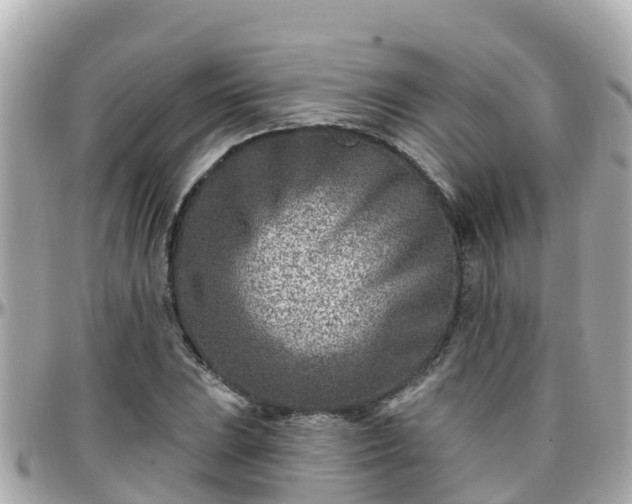 X0000096211023200801251030