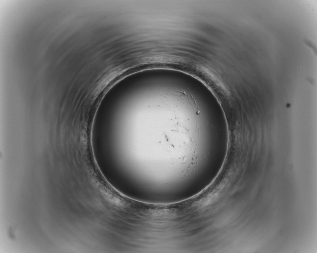 X0000096211025200801251030